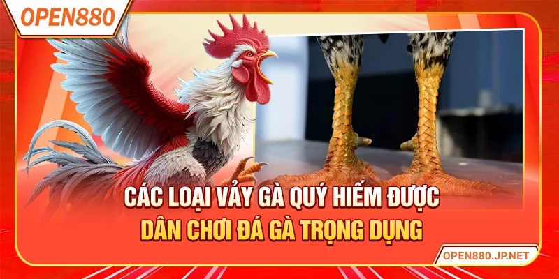 Các loại vảy gà quý hiếm được dân chơi đá gà trọng dụng