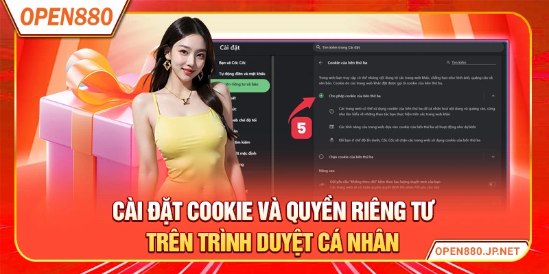 Cài đặt cookie và quyền riêng tư trên trình duyệt cá nhân
