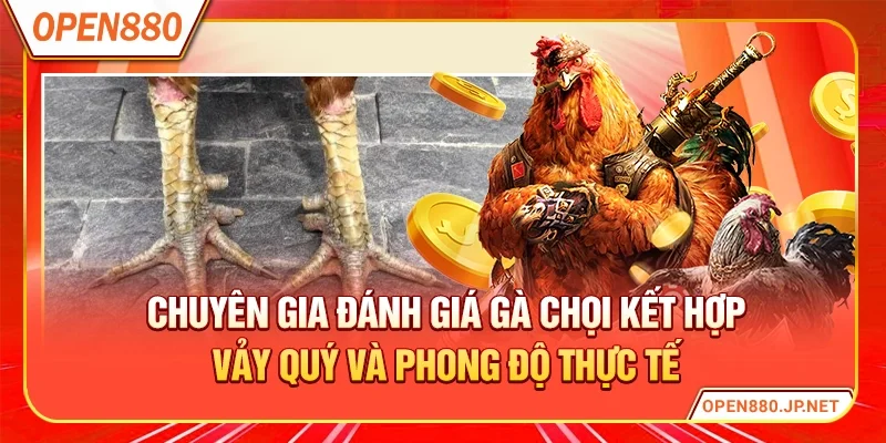 Chuyên gia đánh giá gà chọi kết hợp vảy quý và phong độ thực tế