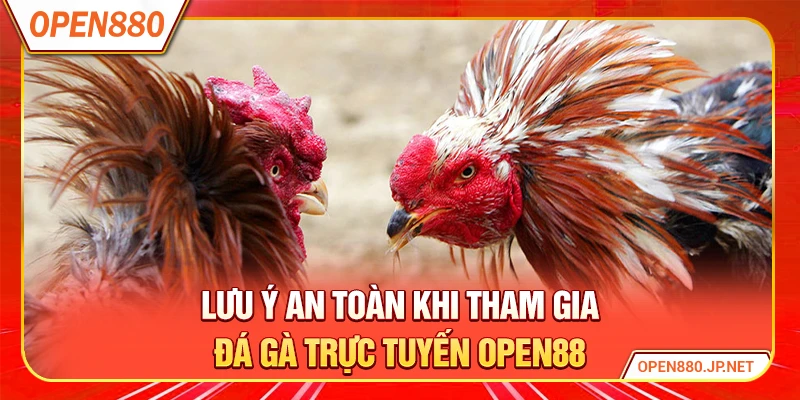 Lưu ý an toàn khi tham gia đá gà trực tuyến OPEN88