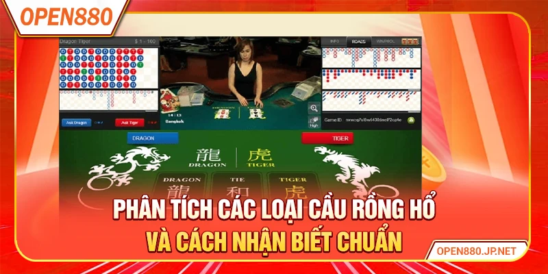 Phân tích các loại cầu rồng hổ và cách nhận biết chuẩn