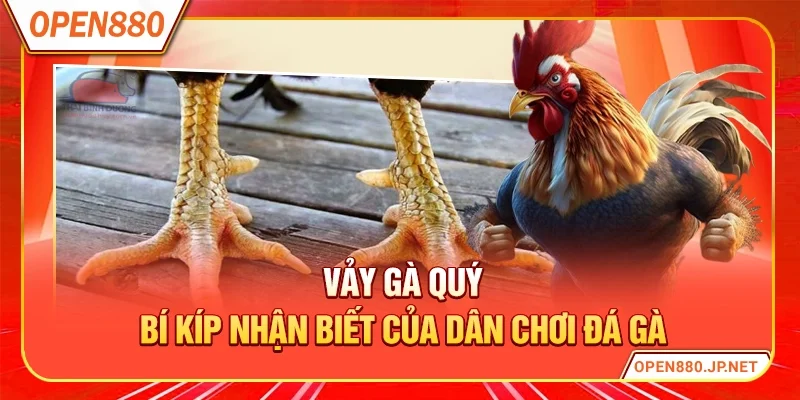 Vảy Gà Quý